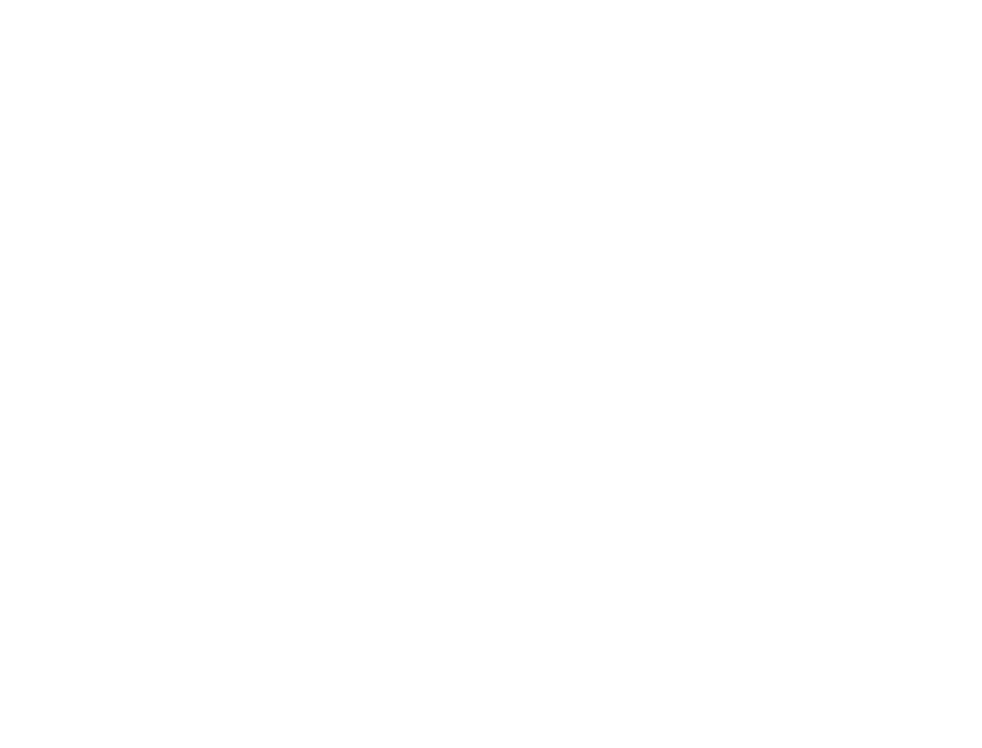 Festival della Robotica