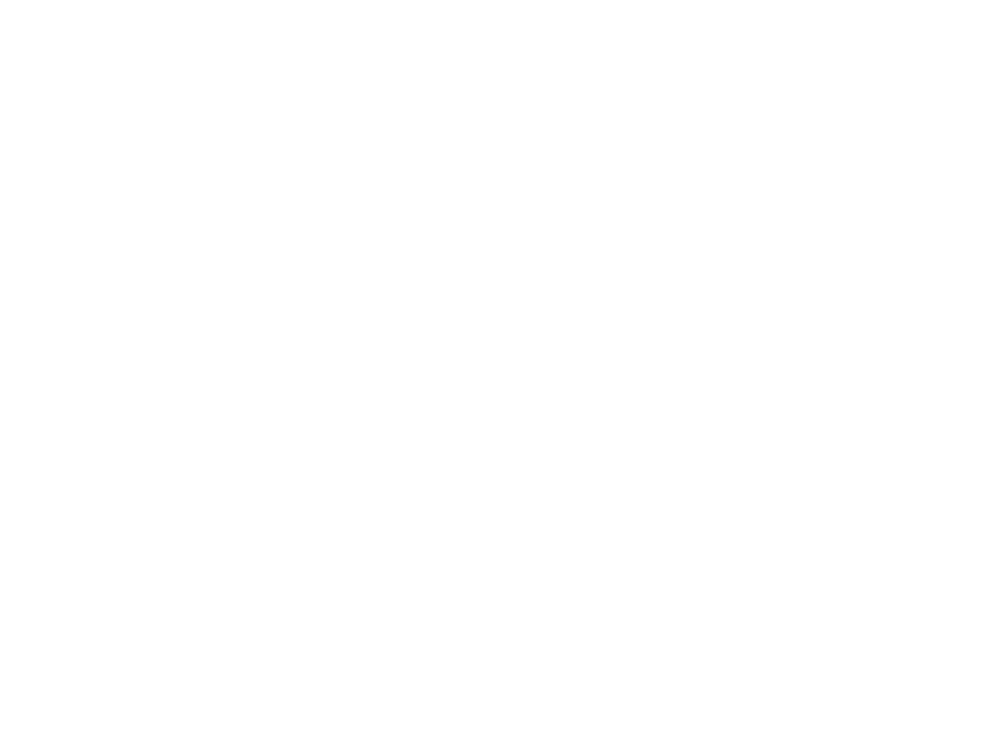 Festival della Robotica