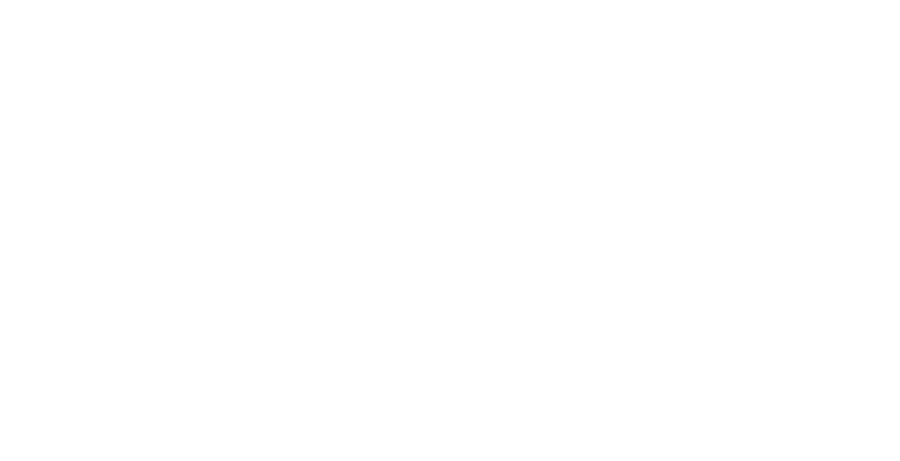 Festival della Robotica