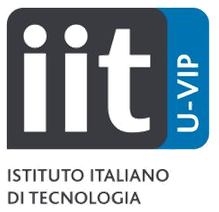 IIT U-VIP